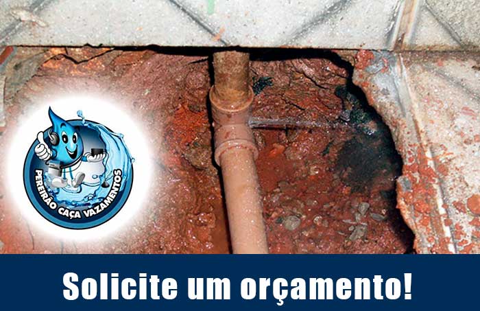 imagem pereirão caça vazamento