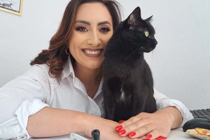 imagem de Internação