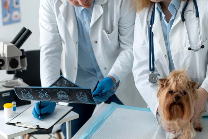 imagem de Laboratório interno